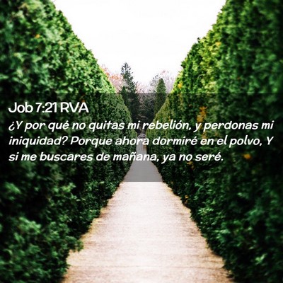 Picture 02 - Job 7:21 RVA - ¿Y por qué no quitas mi rebelión, y perdonas - Bible Verse Picture
