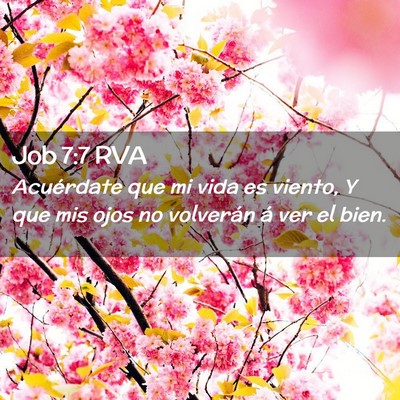 Picture 02 - Job 7:7 RVA - Acuérdate que mi vida es viento, Y que mis ojos - Bible Verse Picture