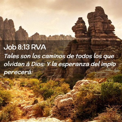 Picture 02 - Job 8:13 RVA - Tales son los caminos de todos los que olvidan á - Bible Verse Picture