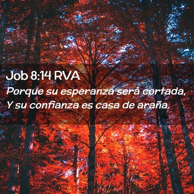 Picture 02 - Job 8:14 RVA - Porque su esperanza será cortada, Y su confianza - Bible Verse Picture