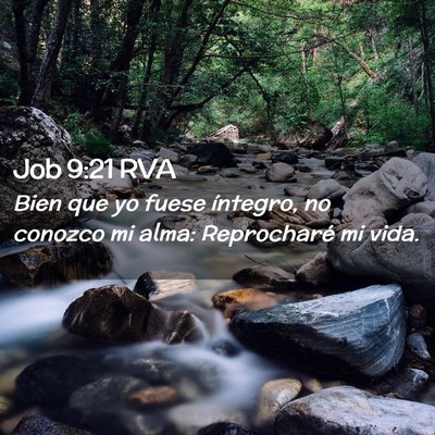 Picture 02 - Job 9:21 RVA - Bien que yo fuese íntegro, no conozco mi alma: - Bible Verse Picture