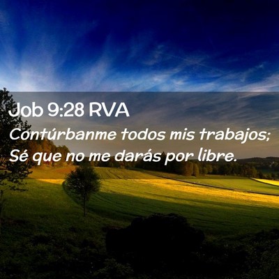 Picture 02 - Job 9:28 RVA - Contúrbanme todos mis trabajos; Sé que no me - Bible Verse Picture