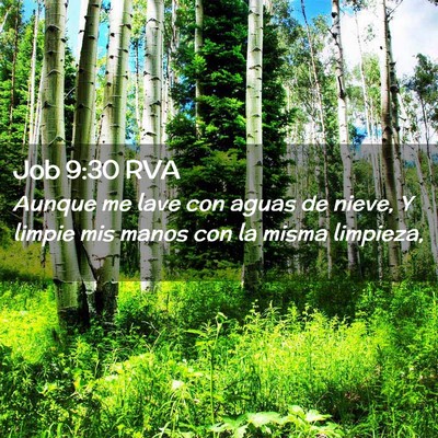 Picture 02 - Job 9:30 RVA - Aunque me lave con aguas de nieve, Y limpie mis - Bible Verse Picture