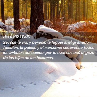 Picture 02 - Joel 1:12 RVA - Secóse la vid, y pereció la higuera, el granado - Bible Verse Picture