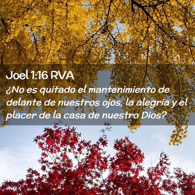 Picture 02 - Joel 1:16 RVA - ¿No es quitado el mantenimiento de delante de - Bible Verse Picture