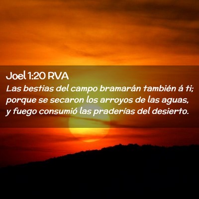 Picture 02 - Joel 1:20 RVA - Las bestias del campo bramarán también á ti; - Bible Verse Picture