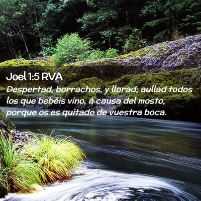 Picture 02 - Joel 1:5 RVA - Despertad, borrachos, y llorad; aullad todos los - Bible Verse Picture