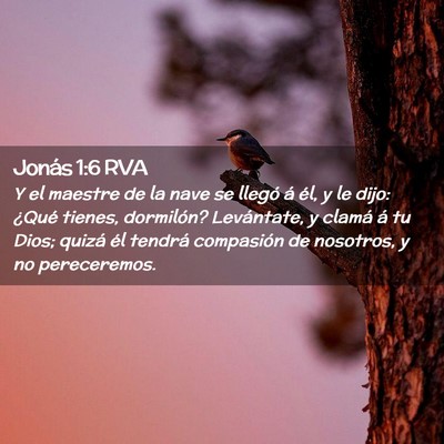 Picture 02 - Jonás 1:6 RVA - Y el maestre de la nave se llegó á él, y le - Bible Verse Picture