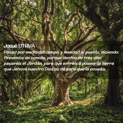 Picture 02 - Josué 1:11 RVA - Pasad por medio del campo, y mandad al pueblo, - Bible Verse Picture