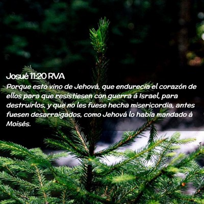 Picture 02 - Josué 11:20 RVA - Porque esto vino de Jehová, que endurecía el - Bible Verse Picture