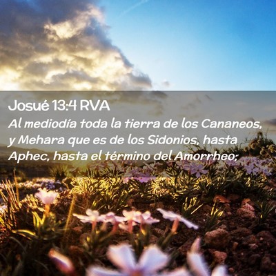 Picture 02 - Josué 13:4 RVA - Al mediodía toda la tierra de los Cananeos, y - Bible Verse Picture