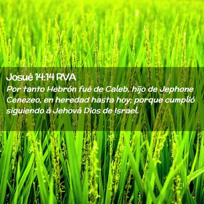 Picture 02 - Josué 14:14 RVA - Por tanto Hebrón fué de Caleb, hijo de Jephone - Bible Verse Picture
