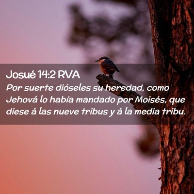 Picture 02 - Josué 14:2 RVA - Por suerte dióseles su heredad, como Jehová lo - Bible Verse Picture