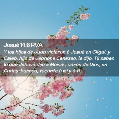 Picture 02 - Josué 14:6 RVA - Y los hijos de Judá vinieron á Josué en - Bible Verse Picture