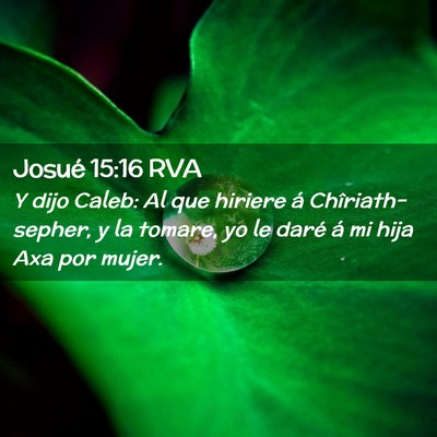 Picture 02 - Josué 15:16 RVA - Y dijo Caleb: Al que hiriere á Chîriath-sepher, - Bible Verse Picture