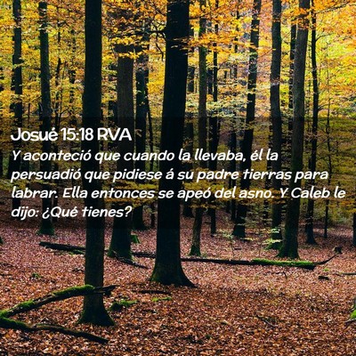 Picture 02 - Josué 15:18 RVA - Y aconteció que cuando la llevaba, él la - Bible Verse Picture