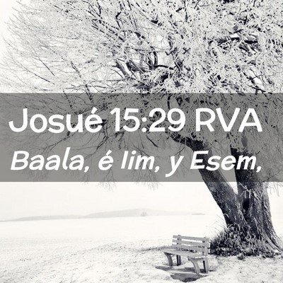 Picture 02 - Josué 15:29 RVA - Baala, é Iim, y - Bible Verse Picture