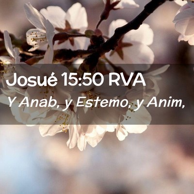 Picture 02 - Josué 15:50 RVA - Y Anab, y Estemo, y - Bible Verse Picture