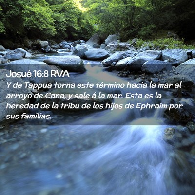 Picture 02 - Josué 16:8 RVA - Y de Tappua torna este término hacia la mar al - Bible Verse Picture