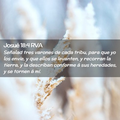 Picture 02 - Josué 18:4 RVA - Señalad tres varones de cada tribu, para que yo - Bible Verse Picture