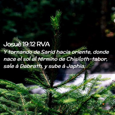 Picture 02 - Josué 19:12 RVA - Y tornando de Sarid hacia oriente, donde nace el - Bible Verse Picture