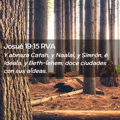 Picture 02 - Josué 19:15 RVA - Y abraza Catah, y Naalal, y Simrón, é Ideala, y - Bible Verse Picture