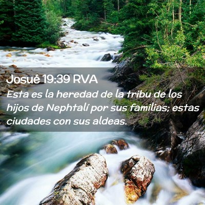 Picture 02 - Josué 19:39 RVA - Esta es la heredad de la tribu de los hijos de - Bible Verse Picture