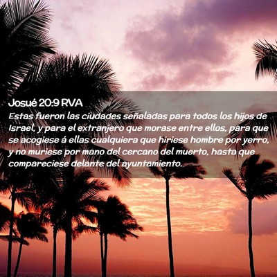 Picture 02 - Josué 20:9 RVA - Estas fueron las ciudades señaladas para todos - Bible Verse Picture