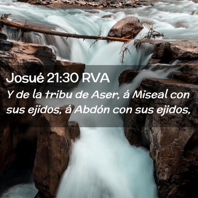 Picture 02 - Josué 21:30 RVA - Y de la tribu de Aser, á Miseal con sus ejidos, - Bible Verse Picture