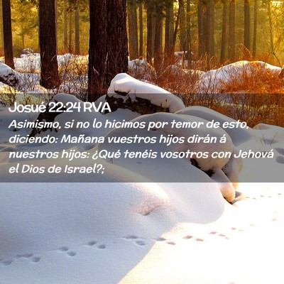 Picture 02 - Josué 22:24 RVA - Asimismo, si no lo hicimos por temor de esto, - Bible Verse Picture