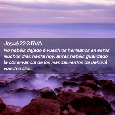 Picture 02 - Josué 22:3 RVA - No habéis dejado á vuestros hermanos en estos - Bible Verse Picture