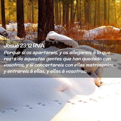 Picture 02 - Josué 23:12 RVA - Porque si os apartareis, y os allegareis á lo - Bible Verse Picture