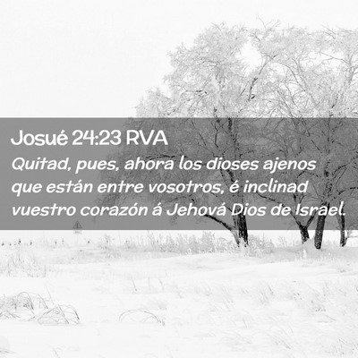 Picture 02 - Josué 24:23 RVA - Quitad, pues, ahora los dioses ajenos que están - Bible Verse Picture