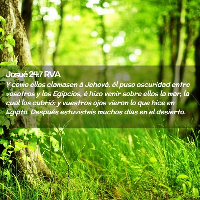 Picture 02 - Josué 24:7 RVA - Y como ellos clamasen á Jehová, él puso - Bible Verse Picture
