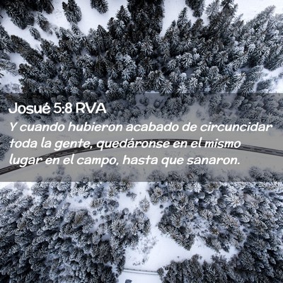 Picture 02 - Josué 5:8 RVA - Y cuando hubieron acabado de circuncidar toda la - Bible Verse Picture