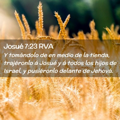 Picture 02 - Josué 7:23 RVA - Y tomándolo de en medio de la tienda, - Bible Verse Picture