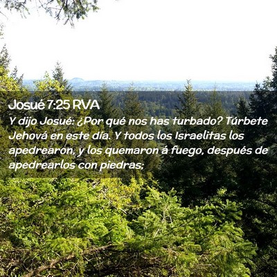 Picture 02 - Josué 7:25 RVA - Y dijo Josué: ¿Por qué nos has turbado? - Bible Verse Picture