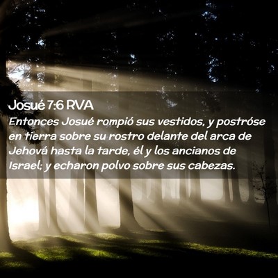 Picture 02 - Josué 7:6 RVA - Entonces Josué rompió sus vestidos, y postróse - Bible Verse Picture