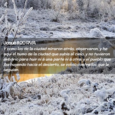 Picture 02 - Josué 8:20 RVA - Y como los de la ciudad miraron atrás, - Bible Verse Picture