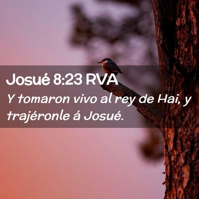 Picture 02 - Josué 8:23 RVA - Y tomaron vivo al rey de Hai, y trajéronle á - Bible Verse Picture