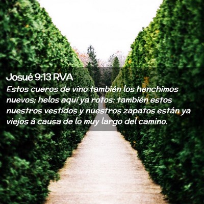 Picture 02 - Josué 9:13 RVA - Estos cueros de vino también los henchimos - Bible Verse Picture