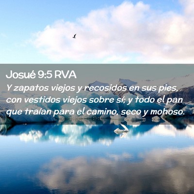 Picture 02 - Josué 9:5 RVA - Y zapatos viejos y recosidos en sus pies, con - Bible Verse Picture