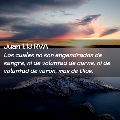 Picture 02 - Juan 1:13 RVA - Los cuales no son engendrados de sangre, ni de - Bible Verse Picture