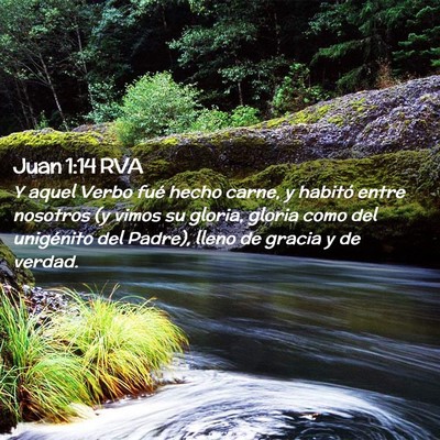 Picture 02 - Juan 1:14 RVA - Y aquel Verbo fué hecho carne, y habitó entre - Bible Verse Picture