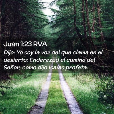 Picture 02 - Juan 1:23 RVA - Dijo: Yo soy la voz del que clama en el desierto: - Bible Verse Picture