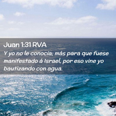 Picture 02 - Juan 1:31 RVA - Y yo no le conocía; más para que fuese - Bible Verse Picture