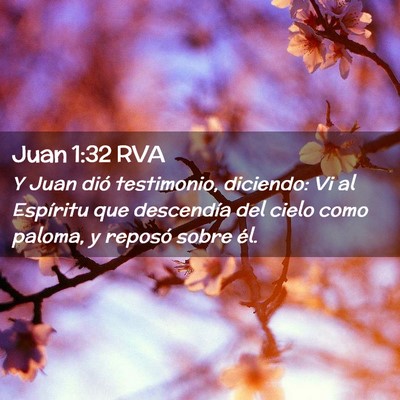 Picture 02 - Juan 1:32 RVA - Y Juan dió testimonio, diciendo: Vi al Espíritu - Bible Verse Picture