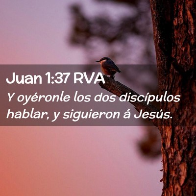 Picture 02 - Juan 1:37 RVA - Y oyéronle los dos discípulos hablar, y - Bible Verse Picture