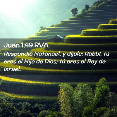 Picture 02 - Juan 1:49 RVA - Respondió Natanael, y díjole: Rabbí, tú eres - Bible Verse Picture