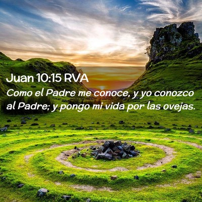 Picture 02 - Juan 10:15 RVA - Como el Padre me conoce, y yo conozco al Padre; y - Bible Verse Picture
